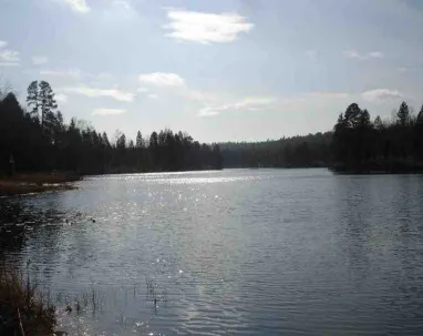 Crystal Springs Lake
